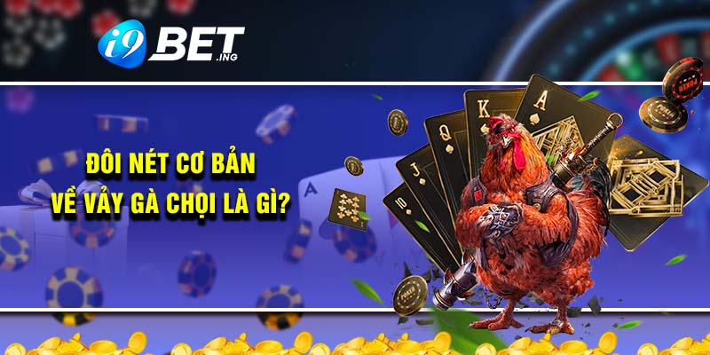 Đôi nét cơ bản về vảy gà chọi là gì?