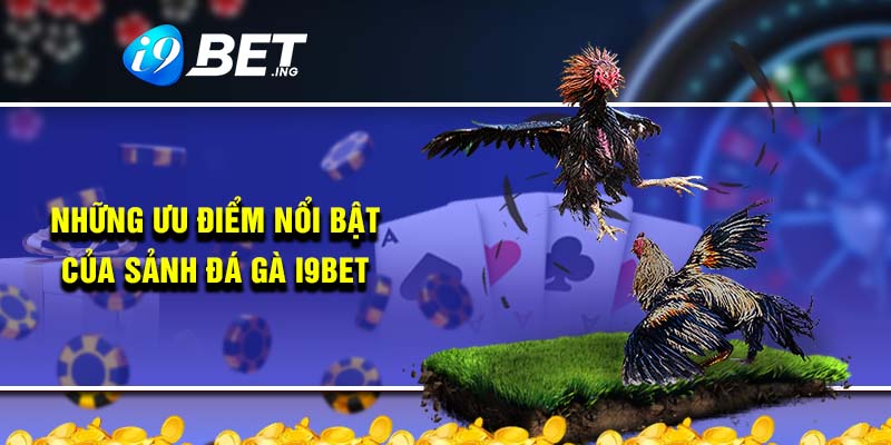 Những ưu điểm nổi bật của sảnh đá gà i9bet