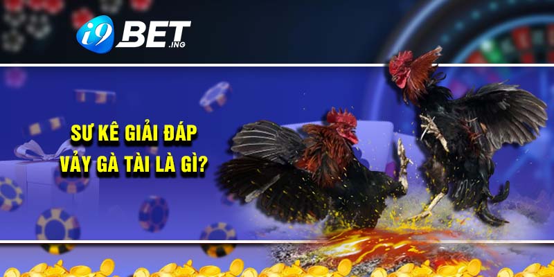Sư kê giải đáp vảy gà tài là gì?