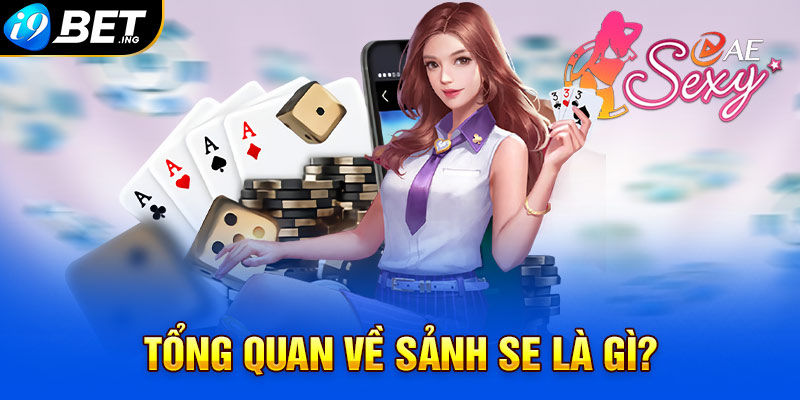 Tổng quan về sảnh SE là gì?
