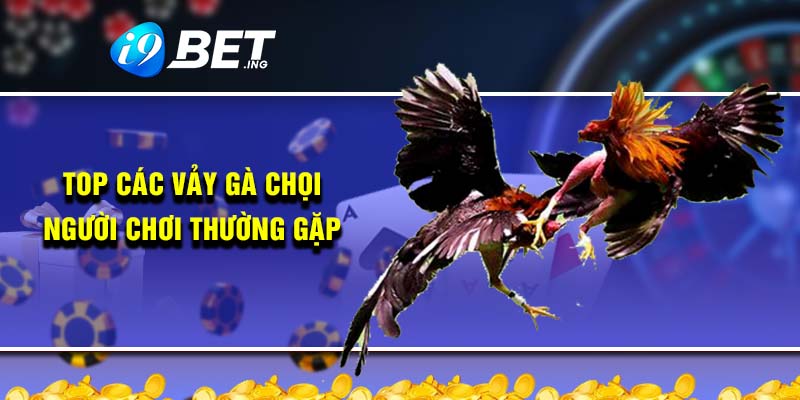 Top các vảy gà chọi người chơi thường gặp