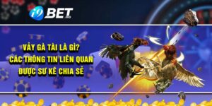 Vảy Gà Tài Là Gì? Các Thông Tin Liên Quan Được Sư Kê Chia Sẻ